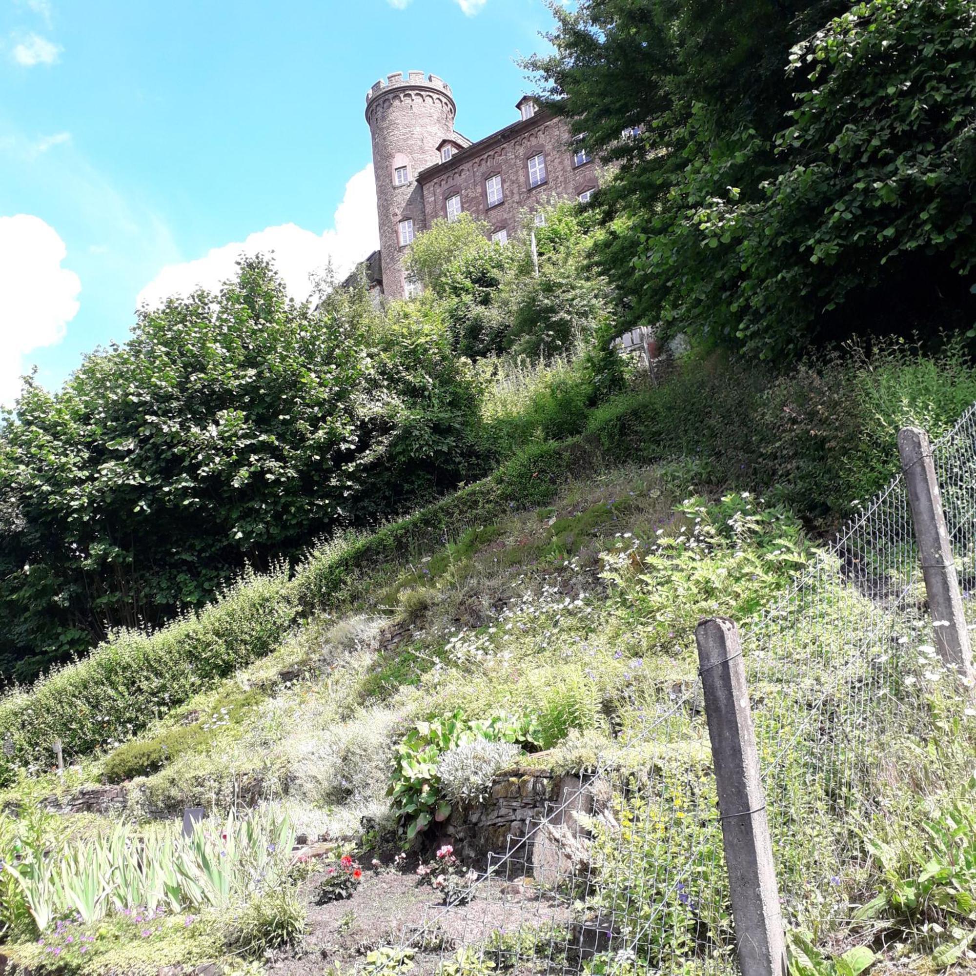 Geraeumiges Ferienhaus ベーヴェルンゲン エクステリア 写真